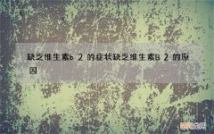 缺乏维生素b2的症状 缺乏维生素B2的原因