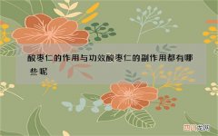 酸枣仁的作用与功效 酸枣仁的副作用都有哪些呢