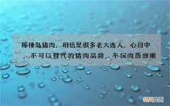 棒棰岛猪肉，相信是很多老大连人，心目中，不可以替代的猪肉品牌，不仅肉质