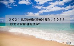 2021比亚迪崛起 奇瑞小爆发，2022自主品牌排名将洗牌？