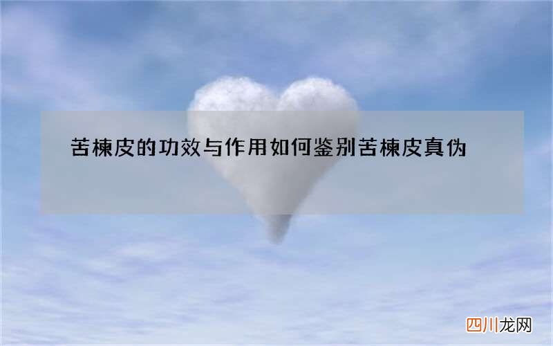 苦楝皮的功效与作用 如何鉴别苦楝皮真伪