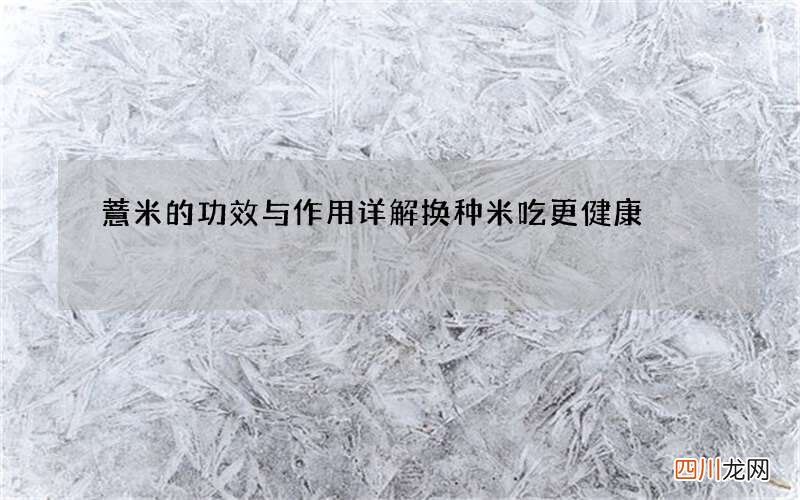 薏米的功效与作用详解 换种米吃更健康