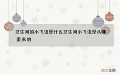 卫生间的小飞虫是什么 卫生间小飞虫是从哪里来的