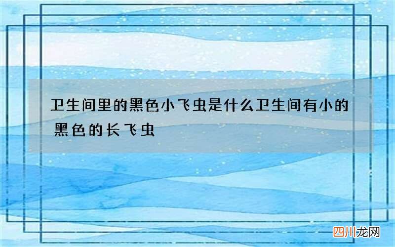 卫生间里的黑色小飞虫是什么 卫生间有小的黑色的长飞虫