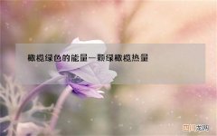 橄榄绿色的能量 一颗绿橄榄热量