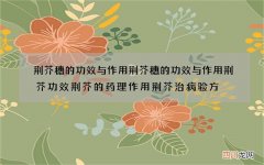 荆芥穗的功效与作用 荆芥穗的功效与作用荆芥功效荆芥的药理作用荆芥治病验