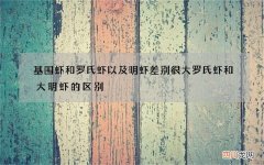 基围虾和罗氏虾以及明虾差别很大 罗氏虾和大明虾的区别