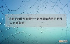 决明子的作用有哪些一起来揭秘决明子不为人知的秘密