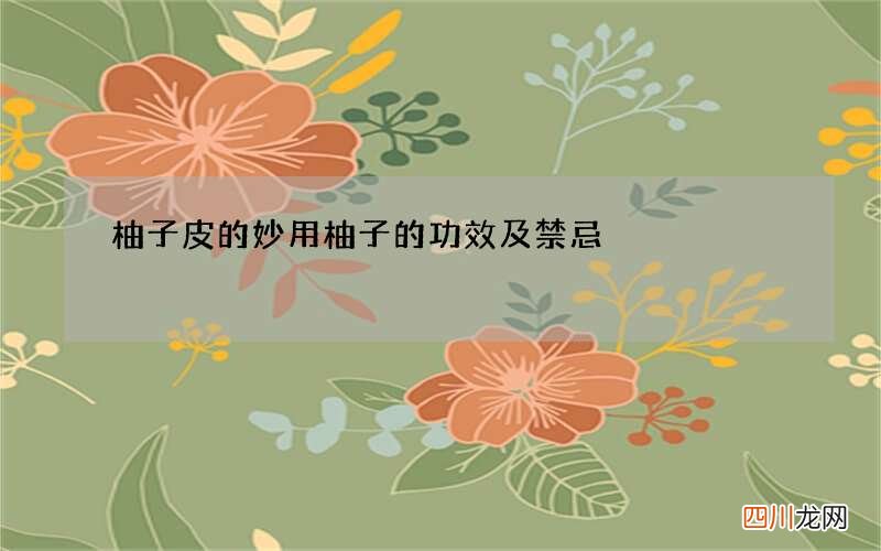 柚子皮的妙用 柚子的功效及禁忌
