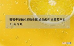 葡萄干是酸性还是碱性食物 经常吃葡萄干有什么好处