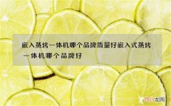 嵌入蒸烤一体机哪个品牌质量好 嵌入式蒸烤一体机哪个品牌好