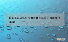 韭菜子的功效与作用有哪些 韭菜子有哪几种类型