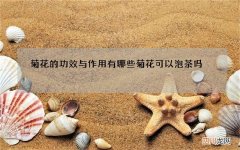 菊花的功效与作用有哪些 菊花可以泡茶吗