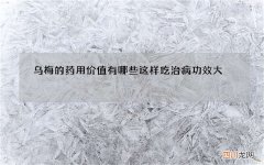 乌梅的药用价值有哪些 这样吃治病功效大