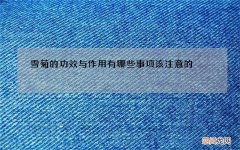 雪菊的功效与作用有哪些事项该注意的