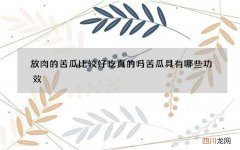 放肉的苦瓜比较好吃真的吗 苦瓜具有哪些功效