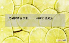 是品牌成立以来... 品牌已经成为