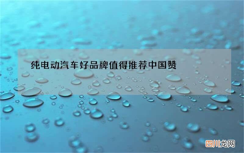 纯电动汽车好品牌 值得推荐中国赞