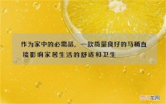 作为家中的必需品，一款质量良好的马桶直接影响家居生活的舒适和卫生