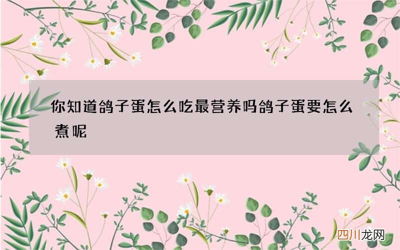 你知道鸽子蛋怎么吃最营养吗鸽子蛋要怎么煮呢
