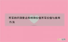 荠菜的识别要点和利用价值 荠菜价值与食用方法