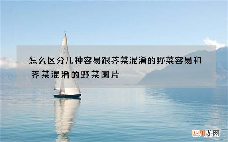 怎么区分几种容易跟荠菜混淆的野菜 容易和荠菜混淆的野菜图片