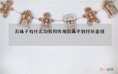 五味子有什么功效和作用 五味子的好坏鉴别