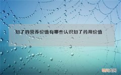 知了的营养价值有哪些 认识知了药用价值