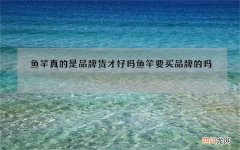 鱼竿真的是品牌货才好吗 鱼竿要买品牌的吗