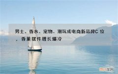 男士、香水、宠物、潮玩成电商新品牌C位，香薰摆件增长爆冷