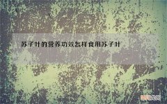 苏子叶的营养功效 怎样食用苏子叶