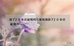 放了20年还能喝吗 红葡萄酒放了20年还能喝吗