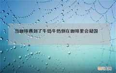 当咖啡遇到了牛奶 牛奶倒在咖啡里会凝固