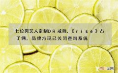 七位男艺人定制DR戒指，《rise》占了俩，品牌方现已关闭查询系统
