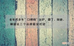 老年代步车“口碑榜”出炉，雷丁、丽驰、御捷这三个品牌最受欢迎