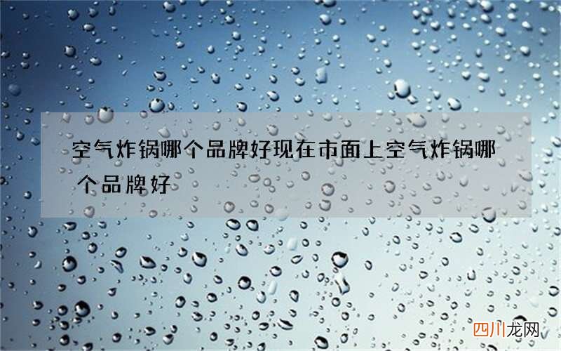 空气炸锅哪个品牌好 现在市面上空气炸锅哪个品牌好