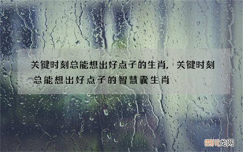 关键时刻总能想出好点子的生肖,关键时刻总能想出好点子的智慧囊生肖