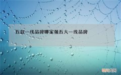 五款一线品牌哪家强 五大一线品牌