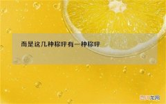 而是这几种称呼 有一种称呼