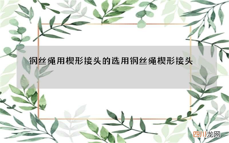 钢丝绳用楔形接头的选用 钢丝绳楔形接头
