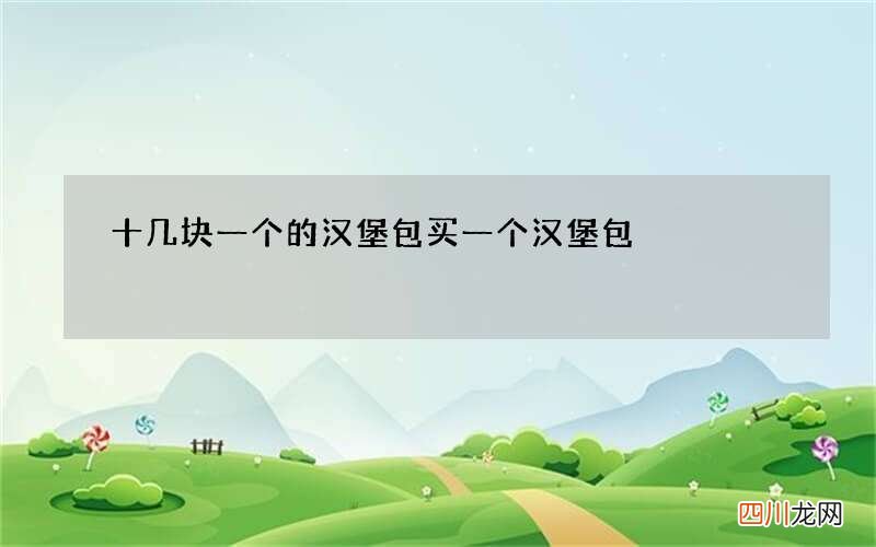 十几块一个的汉堡包 买一个汉堡包