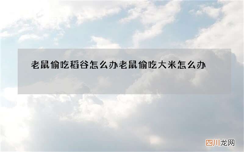 老鼠偷吃稻谷怎么办 老鼠偷吃大米怎么办