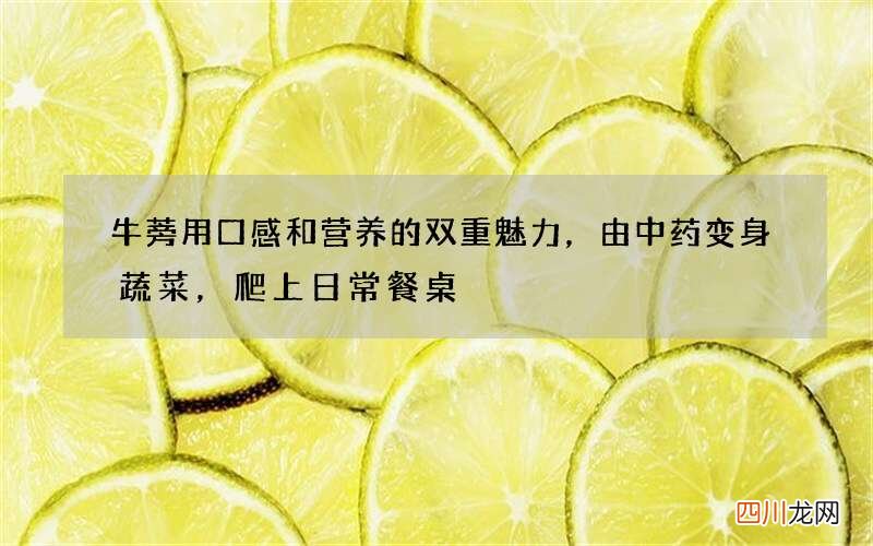 牛蒡用口感和营养的双重魅力，由中药变身蔬菜，爬上日常餐桌
