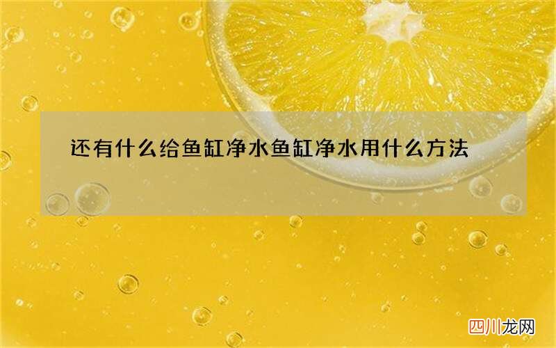 还有什么给鱼缸净水 鱼缸净水用什么方法