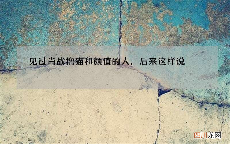 见过肖战撸猫和颜值的人，后来这样说
