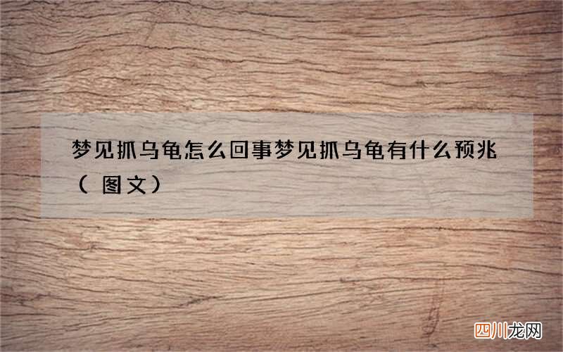 梦见抓乌龟怎么回事 梦见抓乌龟有什么预兆
