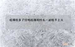 桂圆吃多了好吗 桂圆和什么一起吃不上火