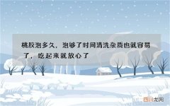桃胶泡多久，泡够了时间清洗杂质也就容易了，吃起来就放心了