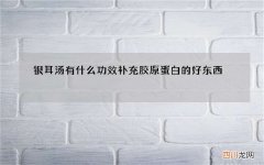银耳汤有什么功效 补充胶原蛋白的好东西