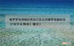 做梦梦见到猫咬我自己怎么回事 梦见猫咬自己有什么预兆